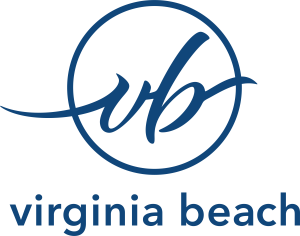 vb logo primary blue